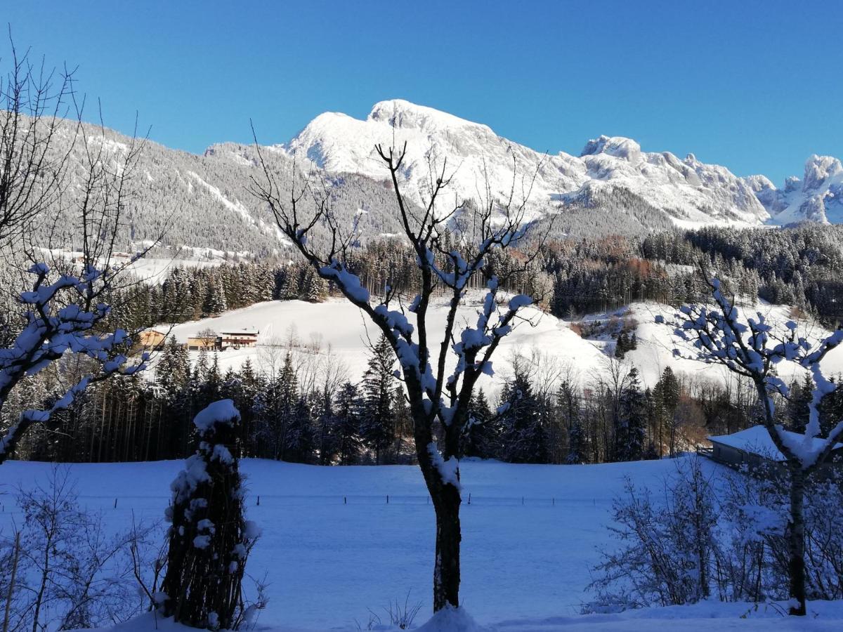 Ferienwohnung Wohlesser Annaberg im Lammertal Exterior foto